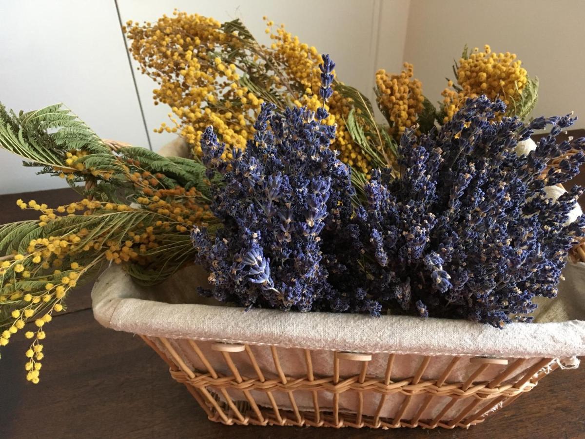 לינה וארוחת בוקר אביניון Mas Halcyon Provence מראה חיצוני תמונה